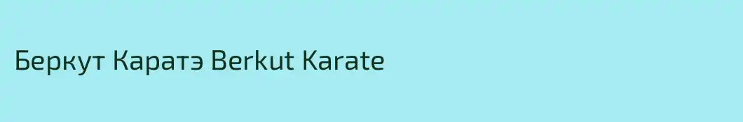 Беркут Каратэ Berkut Karate